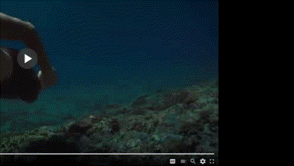 cc menu.gif