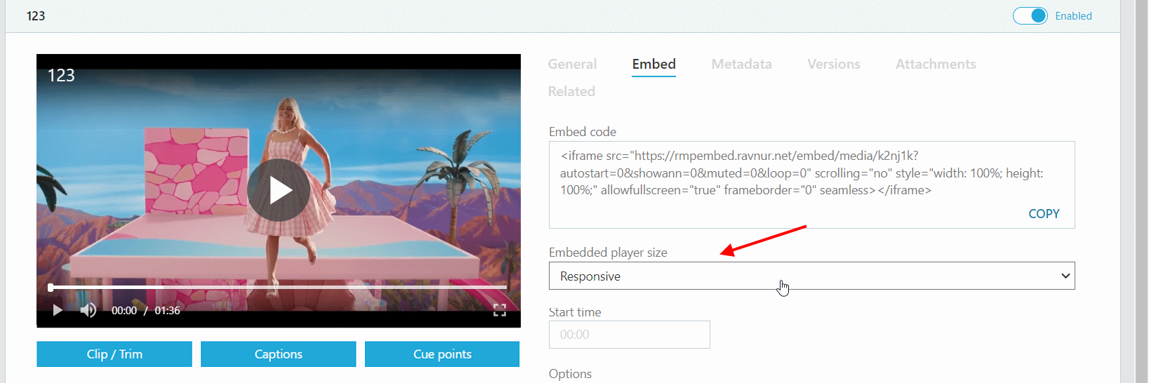 embed-player.png